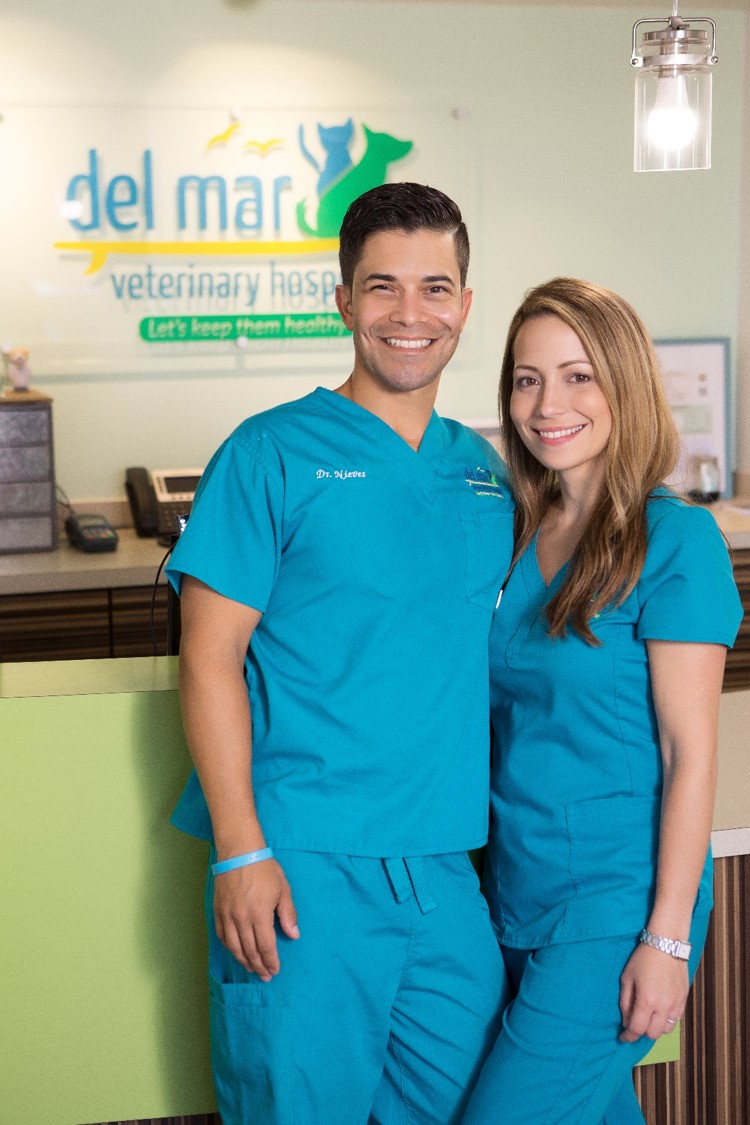 Del Mar Pet Hospital