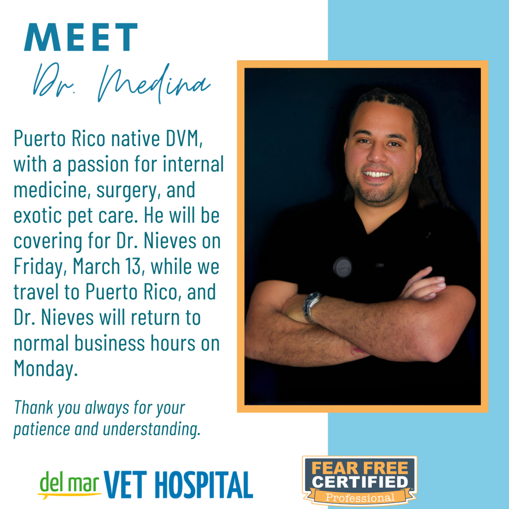 Puerto Rico native DVM, with a passion for internal medicine, surgery, and exotic pet care. He will be covering for Dr. Nieves on Friday, March 13, while we travel to Puerto Rico, and Dr. Nieves will return to normal business hours on Monday.

Thank you always for your patience and understanding.