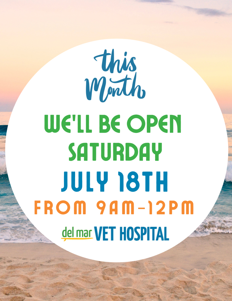 This month, we will be open Saturday, July 18th from 9am-12 pm.