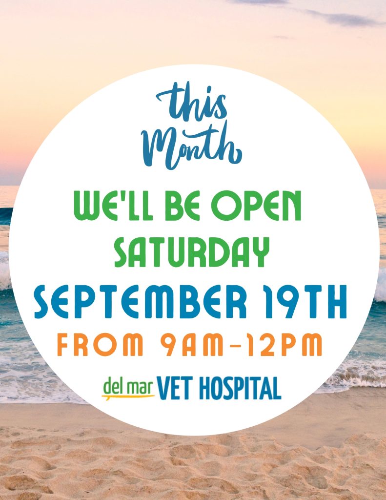 We will be open Saturday, September 19th from 9 am to 12 pm.
