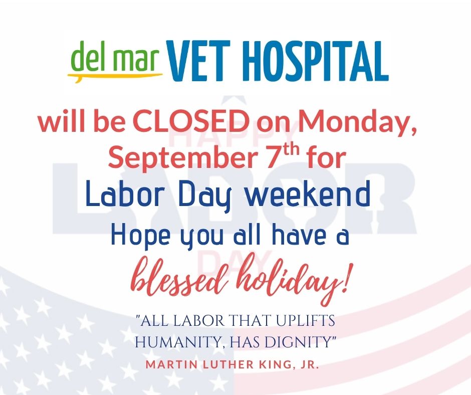 We will be closed on Monday, September 7th for Labor Day Weekend.