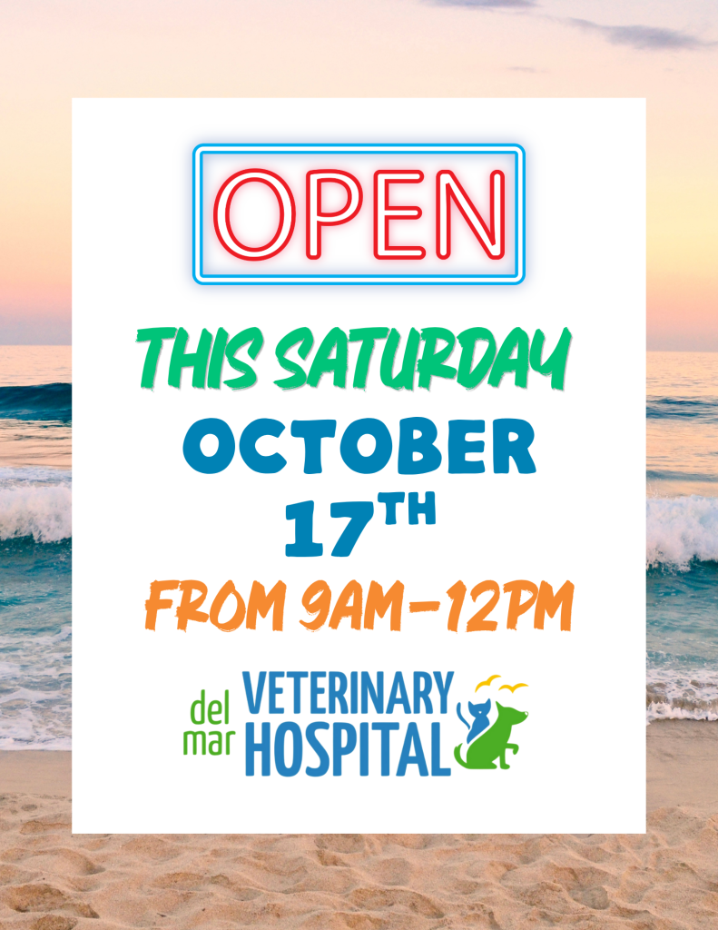 We're open Saturday, October 17th from 9 am-12 pm. Space is limited - call or text 904-717-0777 for appointments. 
